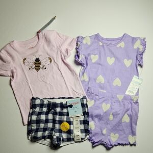 Cat & Jack Baby Girl Lot 18M –2 Piece Set | Tops & Shorts EXCLUDES PURPLE OUTFIT